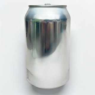 Пиво Fake Brett IPA (1л)