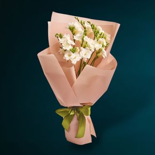 Buchet 11 Frezii Albe