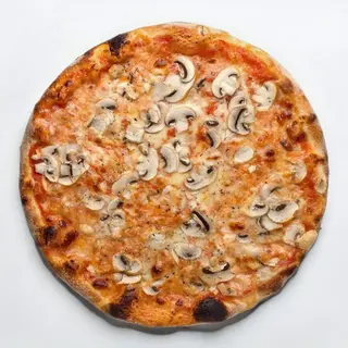 Porcini