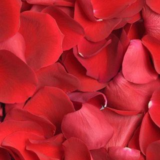 Bolsa Pétalos De Rosas