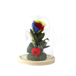 Rosa Eterna Orgullosa En Cúpula