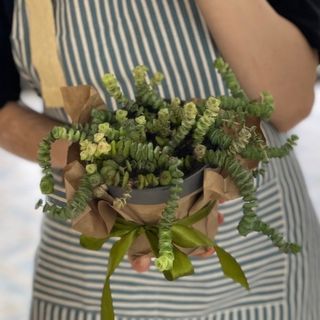 Сердце Пустыни