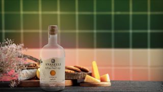  Citrus Vodka - Anaseuli