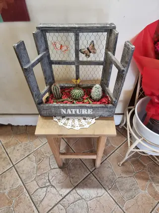 Mix piante