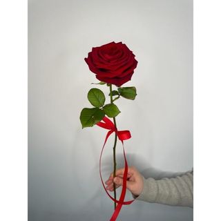 Czerwona róża 60 cm, 1 szt