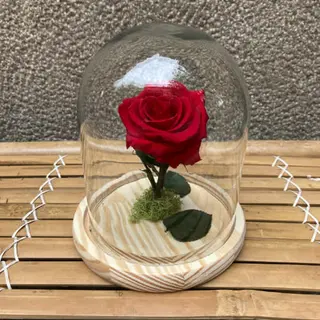 The Eternal Rose