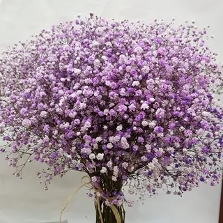 Ramo Nube Milka