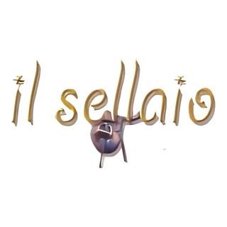 Gamberetti e zucchine