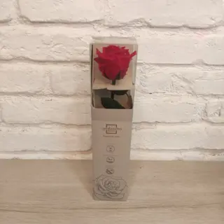 Rosa Roja Eterna