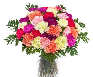 Bukiet 30 goździków kolorowych