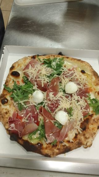 Mediterranea singola