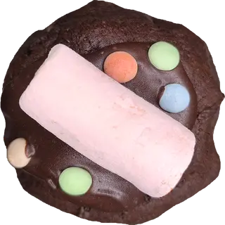 NY CHOCONUBE