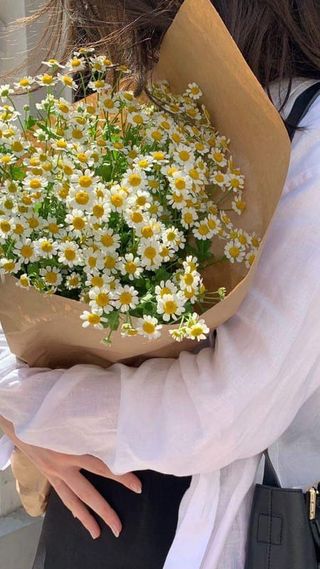 გვირილა