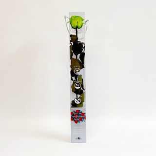 Una Rosa Lima Preservada