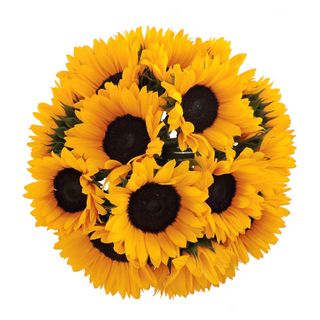 Bouquet girasoli