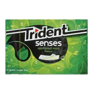 Trident Senses Rainforest Mint 23 gr