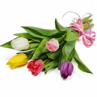 Весняний букет"Для милих дам"