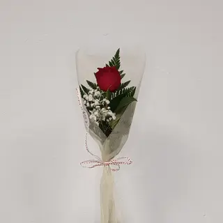 Rosa individual 