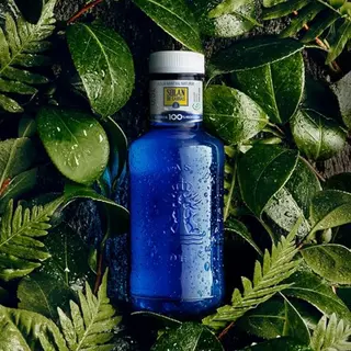 Agua Solán De Cabras (500 Ml.)