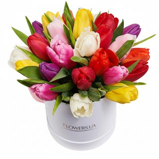 Квіти в коробці"25 різнокольорових тюльпанів"