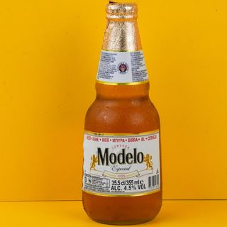 MODELO ESPECIAL