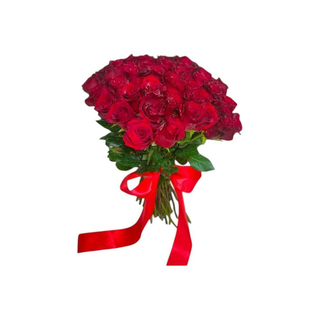 50 Rosas Vermelhas