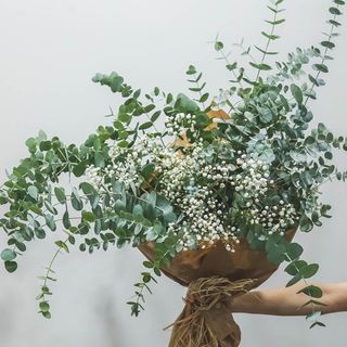 Ramo eucalipto y paniculata (S)