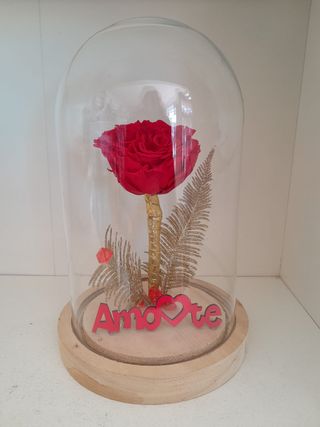 Rosas Preservadas em Campânula