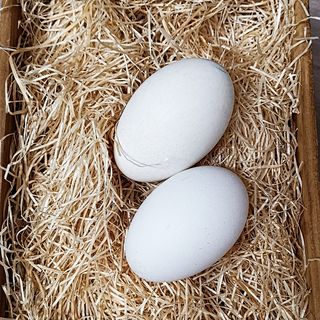 Huevo De Oca Campera (2 Ud.)