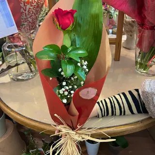 Rosa roja san Valentín