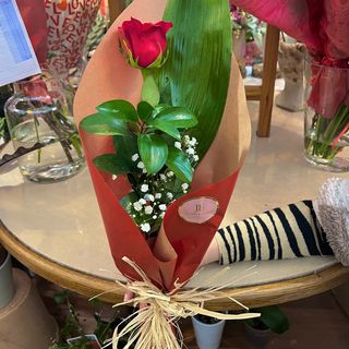 Rosa roja san Valentín