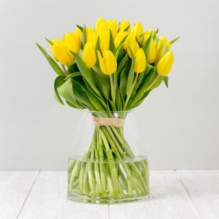 Cartucho Tulipanes Amarillo