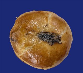 Sfogliatella frolla nutella