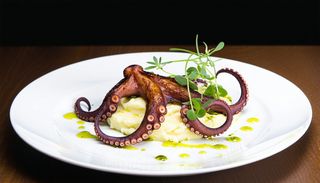 Caracatiţă la grill cu piure cu trufe