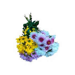 Margaridas | Cores Variadas