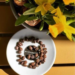 Tostada Con Tomate Y Atún