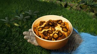 Cheddar & Jalapenos Loaded Fries - preparat picant