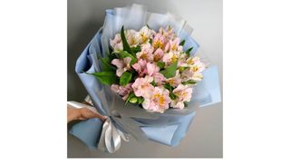 ალსტრომერია