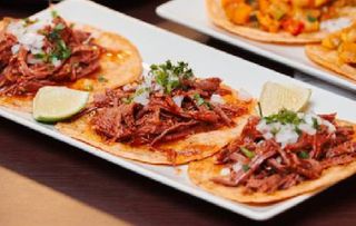 Taco birria
