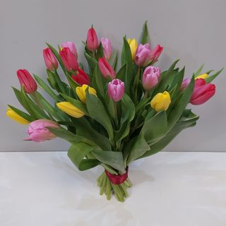 Bukiet z 25 szt. tulipanów mix kolorów