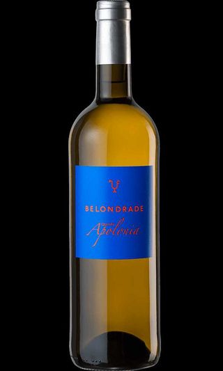 Quinta Apolonia 2023