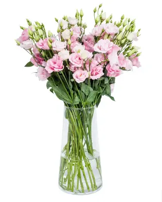 Buchet din 15 crenguțe de lisianthus