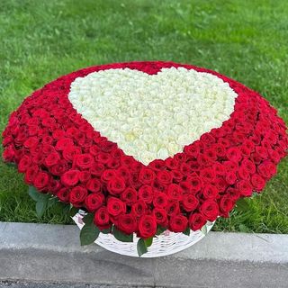 Box de fleurs mélange 100 Roses