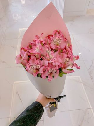 ვარდისფერი ალსტრომერია