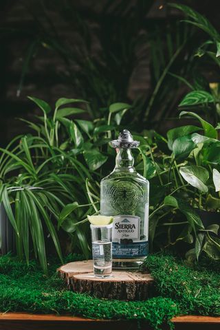 SIERRA   SILVER  (50 мл.)