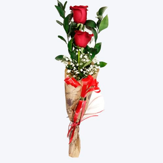 Rosas (2 Uds.)