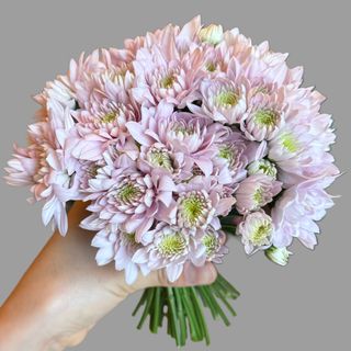 Mały bukiecik margaretek 