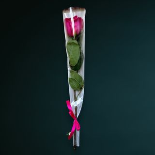 Trandafir Roz Ciclam Ambalat