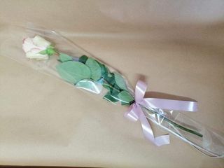 Roza ruža u celofanu