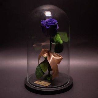 Trandafir criogenat albastru în cupola mare